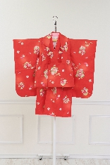 N605￥11550.JPG