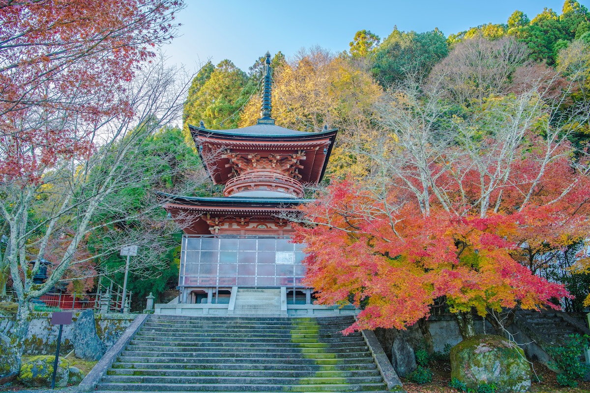 魅力あふれる撮影スポット 法輪寺