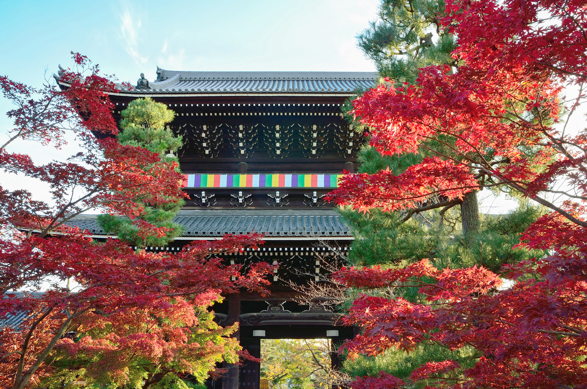 魅力あふれる撮影スポット 光明寺